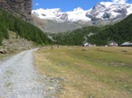 Il Pian di Verra inferiore con la bellissima vista sulla parte occidentale del Monte Rosa. Si nota la strada carrozzabile che lo attraversa sul suo fianco sinistro