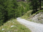 La strada carrozzabile che comincia a salire dopo aver lasciato il Pian di Verra inferiore