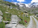 Prima dell'alpeggio del Pian di Verra superiore si trova il bivio con il sentiero che porta al rifugio