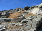 Un tratto della via di salita alla cima, in corrispondeza del sentiero 10 che proviene da Gressoney