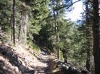 Il sentiero lungo il bosco di Vollon chiamato anche Bois de Volon