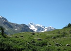 Nei pressi dell'Alpe Orfeuille
