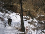 L'ultimo tratto in uscita dal bosco e verso il colle