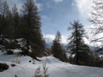 Lungo la salita che porta verso il colletto e i Laghetti di Champlong