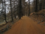 La strada carrozzabile che porta a Chamois