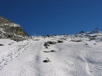 La parte finale che porta al colle, in estate solitamente  su petraia, ma senza particolari pendenze